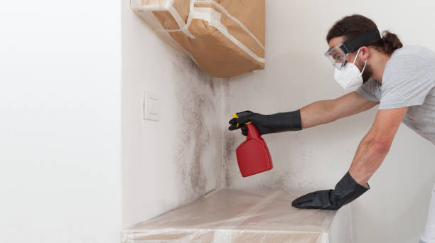 Professional Mold Remediation technician working in Arrowhead Beach, NC