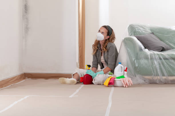 Reliable Mold Remediation contractor in Arrowhead Beach, NC by 24 Hour Mold Removal